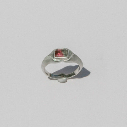 4 - Fancy Watermelon Ring