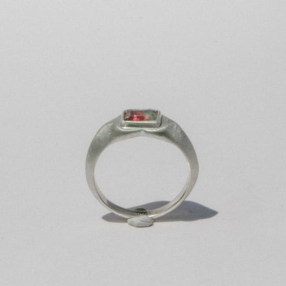 4 - Fancy Watermelon Ring