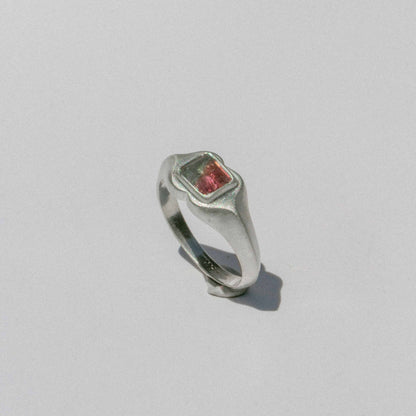 4 - Fancy Watermelon Ring